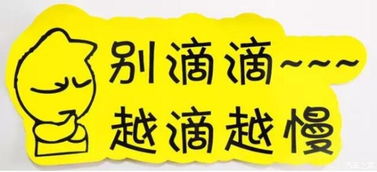 實(shí)習(xí)車(chē)上路 真的可怕嗎？解析馬路上的“隱形警報(bào)”與汽車(chē)陪駕服務(wù)