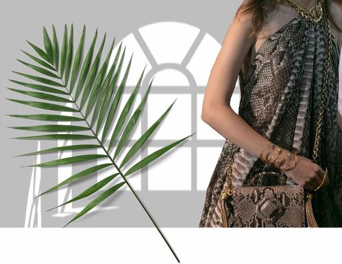 女星同款竟顯胖，胖太太服飾為何持續(xù)走紅？